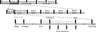 An Online Data Visualization Feedback Protocol for Motor Imagery-Based BCI Training